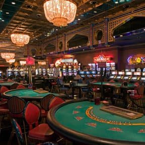 starjudi loyalty tiers and weekly cashback rewards for slot players